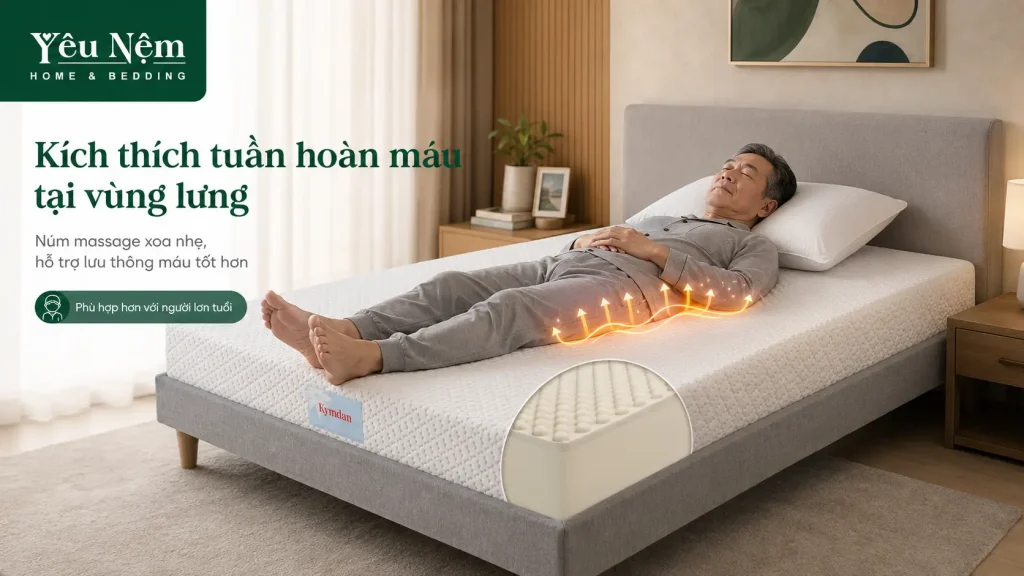 Núm massage nệm Kymdan kích thích tuần hoàn máu vùng lưng cho người đau lưng lớn tuổi