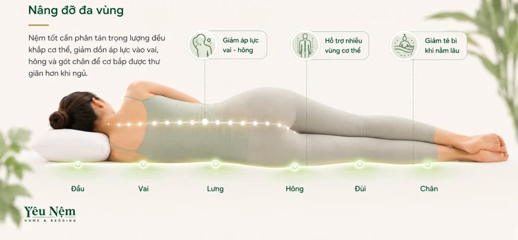Nệm Kymdan 2m nâng đỡ ổn định, phù hợp nhiều tư thế ngủ