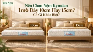 Nên Chọn Nệm Kymdan 1m6 Dày 10cm Hay 15cm? Có Gì Khác Biệt?