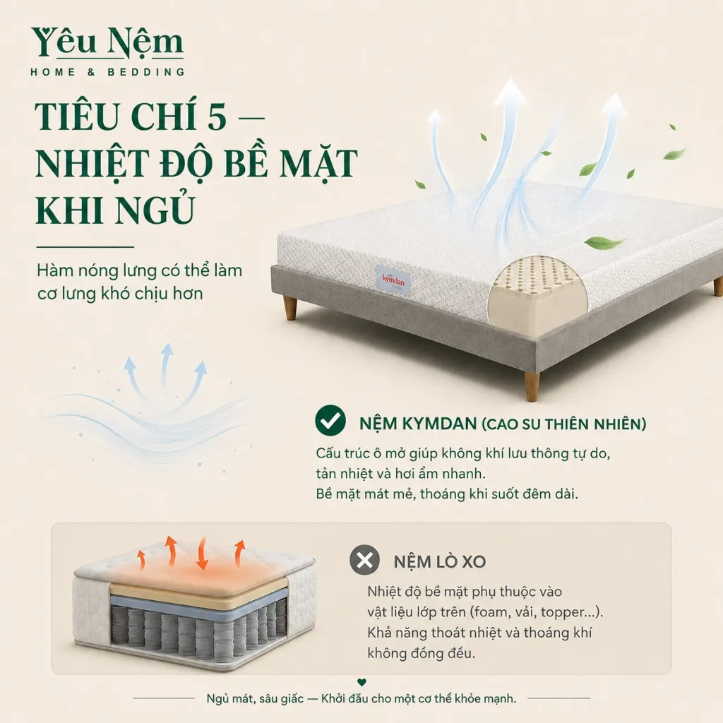 Nệm Cao Su Hay Nệm Lò Xo Tốt Hơn Cho Người Đau Lưng? 5 do thong thoang nem lo xo va nem cao su result