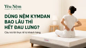 Dùng Nệm Kymdan Bao Lâu Thì Hết Đau Lưng? Chia Sẻ Thực Tế