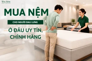 Mua Nệm Cho Người Đau Lưng Ở Đâu Uy Tín, Chính Hãng?