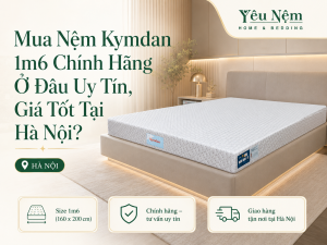 Mua Nệm Kymdan 1m6 Chính Hãng Ở Đâu Uy Tín, Giá Tốt Tại Hà Nội?