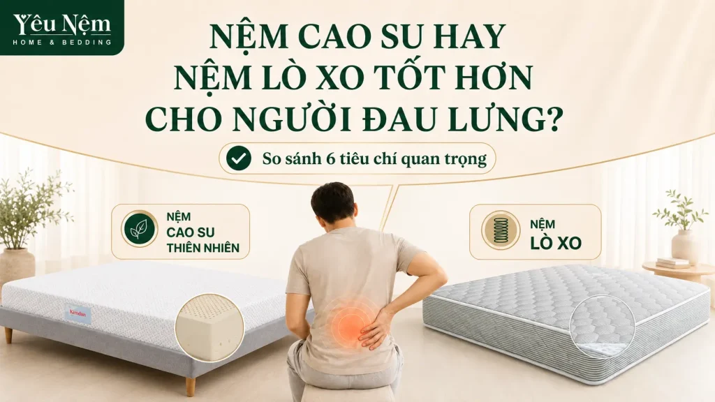 Nệm Cao Su Hay Nệm Lò Xo Tốt Hơn Cho Người Đau Lưng? 1 Nệm Cao Su Hay Nệm Lò Xo Tốt Hơn Cho Người Đau Lưng?