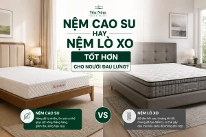 Nệm Cao Su Hay Nệm Lò Xo Tốt Hơn Cho Người Đau Lưng?