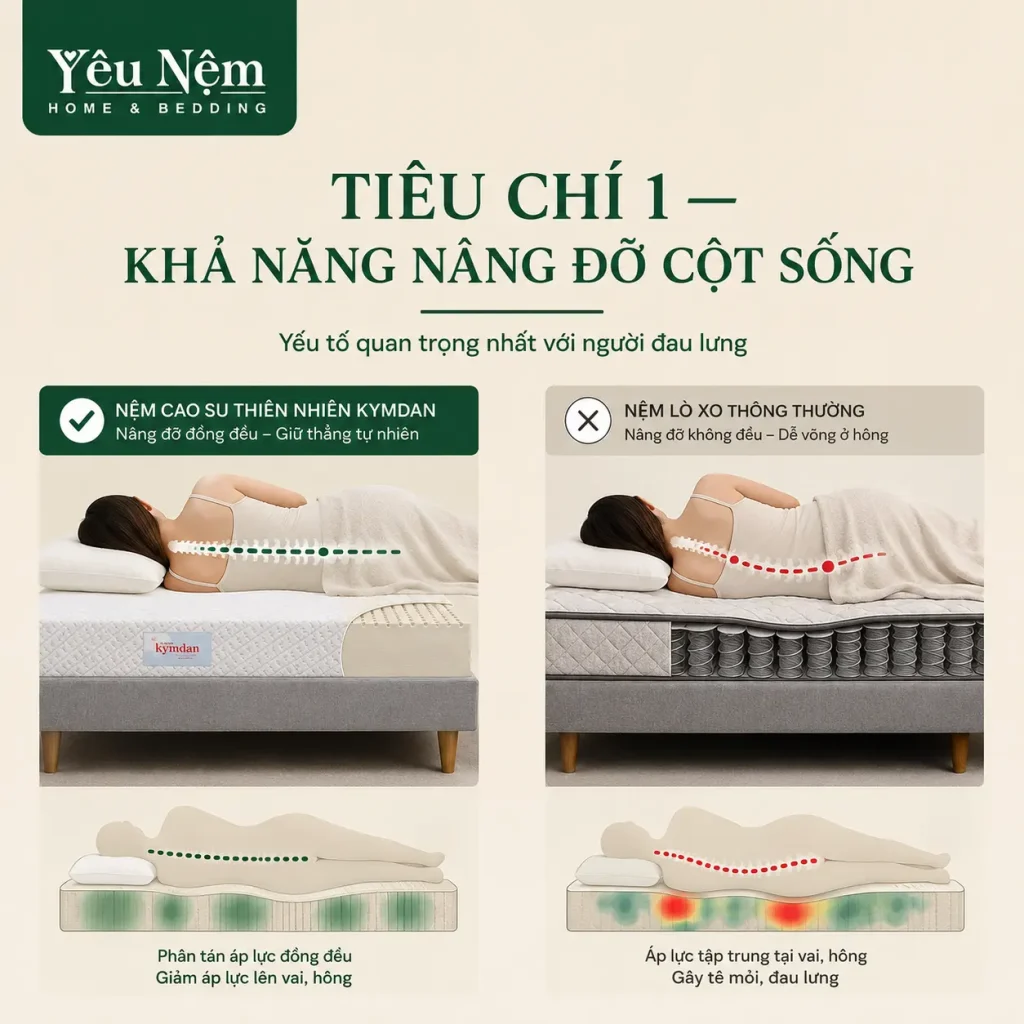 Nệm Cao Su Hay Nệm Lò Xo Tốt Hơn Cho Người Đau Lưng? 2 Tiêu chí 1 — Khả năng nâng đỡ cột sống