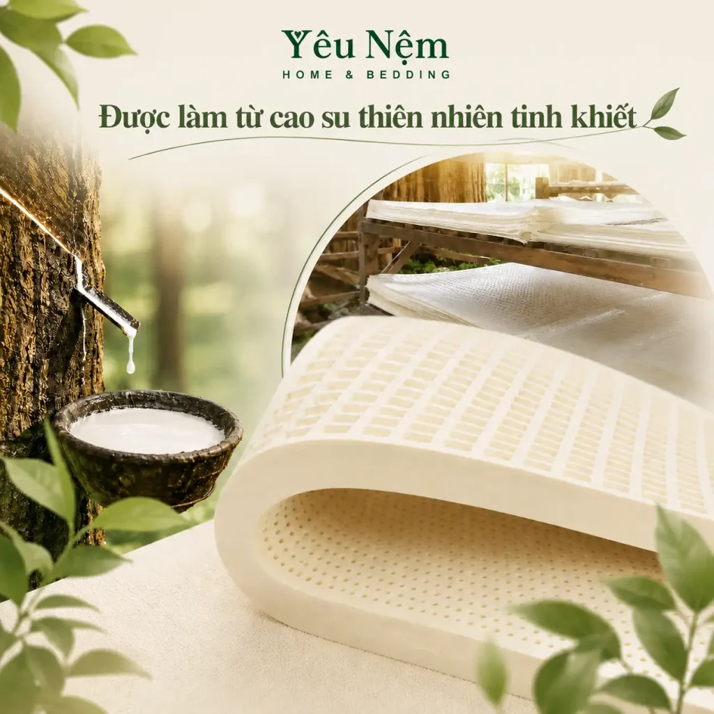 Nệm Kymdan Cho Người Lớn Tuổi – Món Quà Sức Khỏe Ý Nghĩa Mùa Vu Lan 4 Nệm Kymdan cho người lớn tuổi được nhiều gia đình cân nhắc vì chất liệu cao su thiên nhiên có độ đàn hồi ổn định, giúp cơ thể được nâng đỡ đều hơn khi nằm