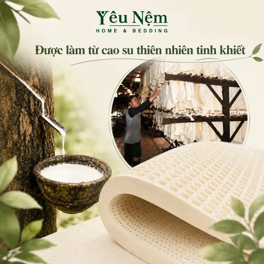 Bảng Giá Nệm Kymdan 2m2 2026: Giá Bao Nhiêu & Chọn Loại Nào Cho Đúng? 4 Nệm cao su Kymdan 2m2 cho kích thước 220x200cm (đôi khi viết là 2m2 x 2m)