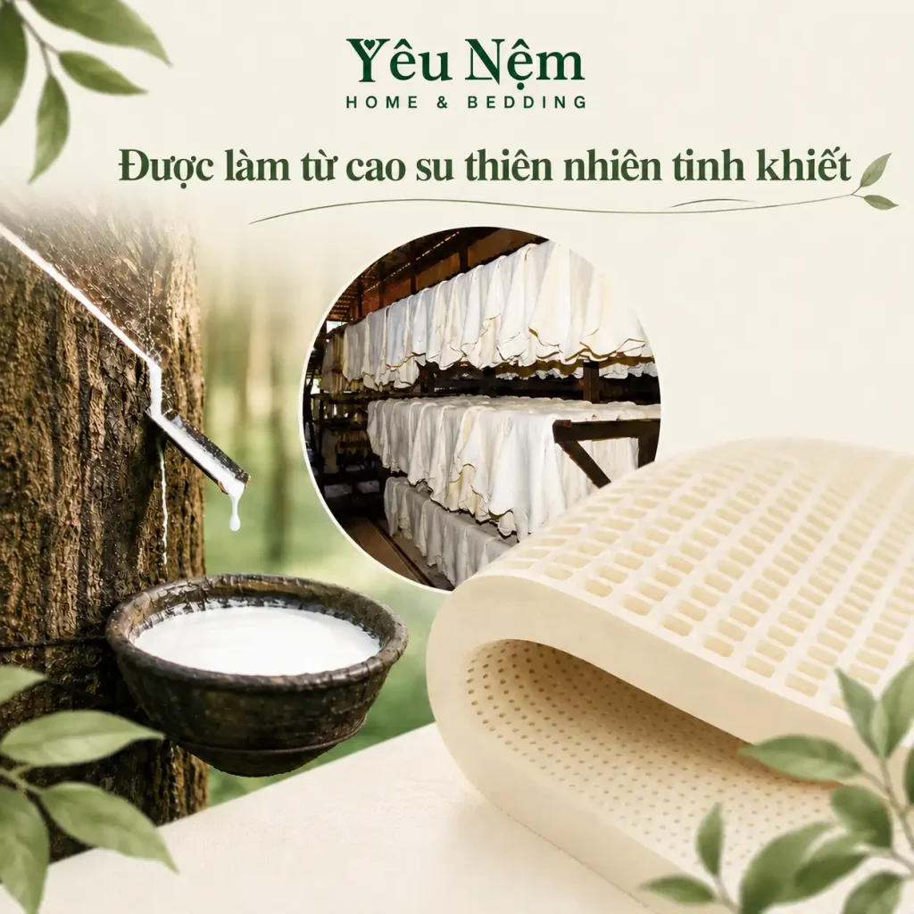 Nệm Kymdan có mùi hôi không? Cách xử lý nhanh tại nhà 2 Nệm Kymdan chính hãng không có mùi hôi cao su. Sản phẩm chỉ có hương thơm thoảng nhẹ, dễ chịu đặc trưng của mousse cao su thiên nhiên đã được xử lý theo công nghệ riêng của Kymdan.