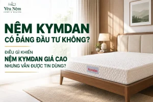 Nệm Kymdan Có Đáng Đầu Tư Không? Điều Gì Khiến Nệm Kymdan Giá Cao Nhưng Vẫn Được Tin Dùng?