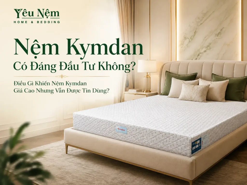 Nệm Kymdan Có Đáng Đầu Tư Không? Điều Gì Khiến Nệm Kymdan Giá Cao Nhưng Vẫn Được Tin Dùng? 1 Nệm Kymdan Có Đáng Đầu Tư Không? Điều Gì Khiến Nệm Kymdan Giá Cao Nhưng Vẫn Được Tin Dùng?