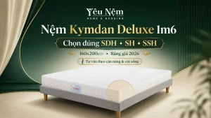 Nệm Kymdan Deluxe 1m6 — 3 Cấp Độ Đàn Hồi & Bảng Giá