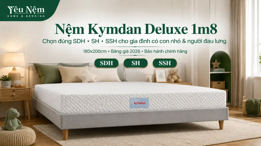 Nệm Kymdan Deluxe 1m8 — 3 Cấp Độ & 2 Nhóm Nên Chọn [2026]