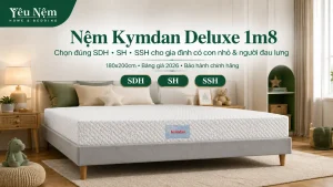 Nệm Kymdan Deluxe 1m8 — 3 Cấp Độ & 2 Nhóm Nên Chọn [2026]