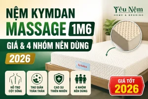 Nệm Kymdan Massage 1m6 — Giá & 4 Nhóm Nên Dùng [2026]