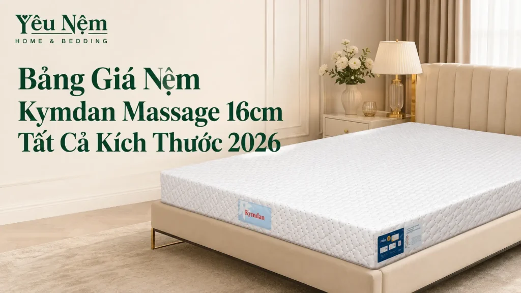 Bảng Giá Nệm Kymdan Massage 16cm Tất Cả Kích Thước 2026 1 Bảng Giá Nệm Kymdan Massage 16cm Tất Cả Kích Thước 2026