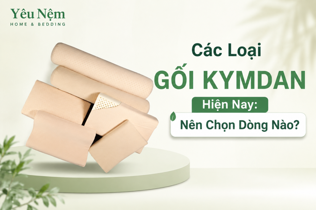 Các Loại Gối Kymdan Nằm Và Gối Ôm Kymdan Hiện Nay: Nên Chọn Dòng Nào? 1 Các Loại Gối Kymdan Hiện Nay: Nên Chọn Dòng Nào?