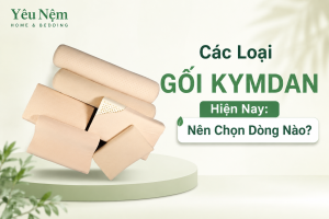 Các Loại Gối Kymdan Hiện Nay: Nên Chọn Dòng Nào?