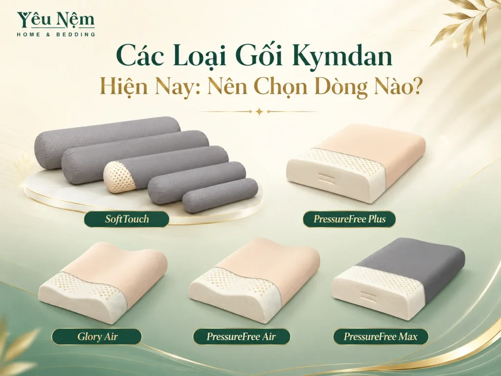 Bảng Giá Nệm Kymdan Tặng Quà Vu Lan 2026 — Cập Nhật Mới Nhất 6 Gối cao su thiên nhiên Kymdan