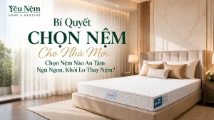 Bí Quyết Chọn Nệm Cho Nhà Mới: Chọn Nệm Nào An Tâm Ngủ Ngon, Khỏi Lo Thay Nệm?