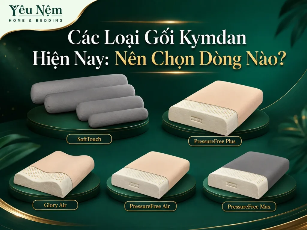 Các Loại Gối Kymdan Nằm Và Gối Ôm Kymdan Hiện Nay: Nên Chọn Dòng Nào? 6 Các Loại Gối Kymdan Hiện Nay