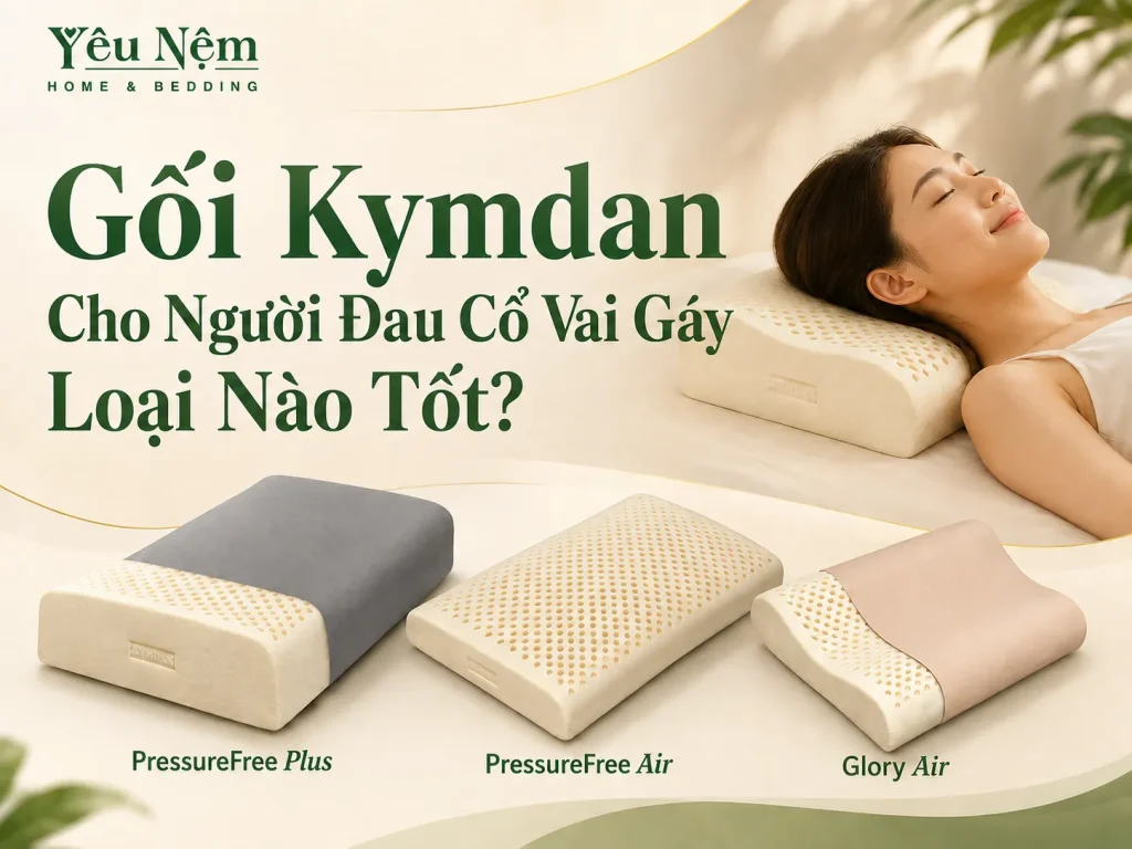 Gối Kymdan Cho Người Đau Cổ Vai Gáy Loại Nào Tốt? 1 Gối Kymdan Cho Người Đau Cổ Vai Gáy Loại Nào Tốt?