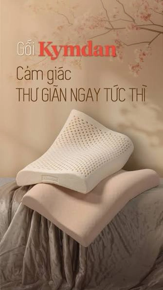Vì Sao Nên Tặng Nệm Cho Bố Mẹ Mùa Vu Lan Báo Hiếu? 8 anh chị cũng có thể cân nhắc thêm gối phù hợp nếu bố mẹ hay mỏi cổ vai gáy