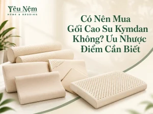 Có Nên Mua Gối Cao Su Kymdan Không? Ưu Nhược Điểm Cần Biết
