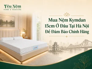 Mua Nệm Kymdan 15cm Ở Đâu Tại Hà Nội Để Đảm Bảo Chính Hãng