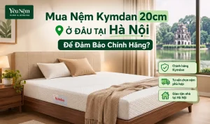 Mua Nệm Kymdan 20cm Ở Đâu Tại Hà Nội Để Đảm Bảo Chính Hãng?