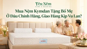 Mua Nệm Kymdan Tặng Bố Mẹ Ở Đâu Chính Hãng, Giao Hàng Kịp Vu Lan?