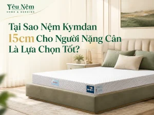 Tại Sao Nệm Kymdan 15cm Cho Người Nặng Cân Là Lựa Chọn Tốt?