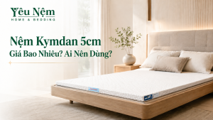 Nệm Kymdan 5cm Giá Bao Nhiêu? Ai Nên Dùng?