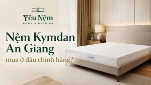 Nệm Kymdan An Giang Mua Ở Đâu Chính Hãng? Tư Vấn Chọn Nệm & Giao Tận Nhà