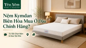 Nệm Kymdan Biên Hòa Mua Ở Đâu Chính Hãng? Tư Vấn Chọn Nệm & Giao Tận Nhà