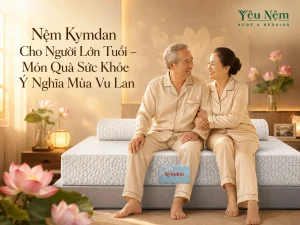 nem kymdan cho nguoi lon tuoi mua vu lan result 1