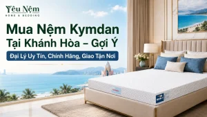 Mua Nệm Kymdan Tại Khánh Hòa – Gợi Ý Đại Lý Uy Tín, Chính Hãng, Giao Tận Nơi