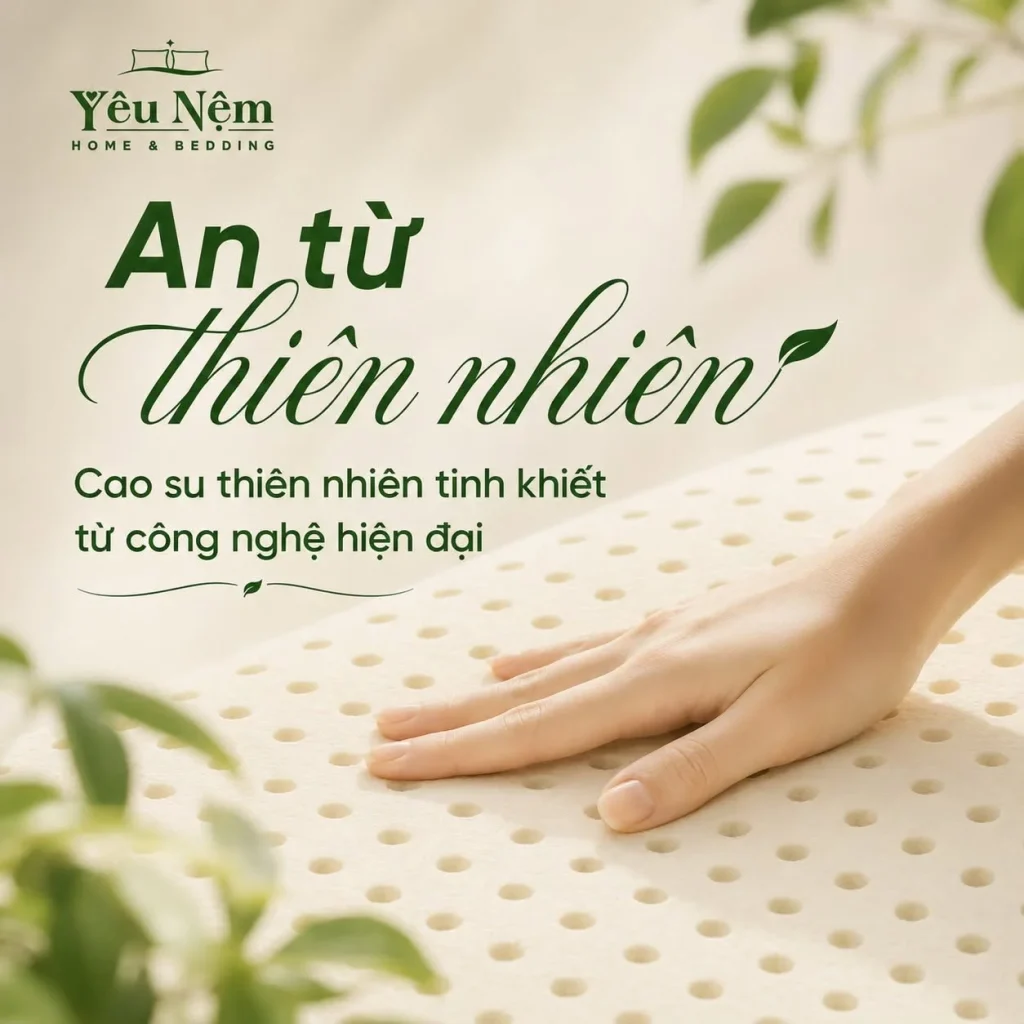 Nệm Kymdan Cho Biệt Thự Và Nhà Phố Rộng: Chọn 2m Hay 2m2? 5 Cấu trúc thông thoáng