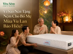 Vì Sao Nên Tặng Nệm Cho Bố Mẹ Mùa Vu Lan Báo Hiếu?