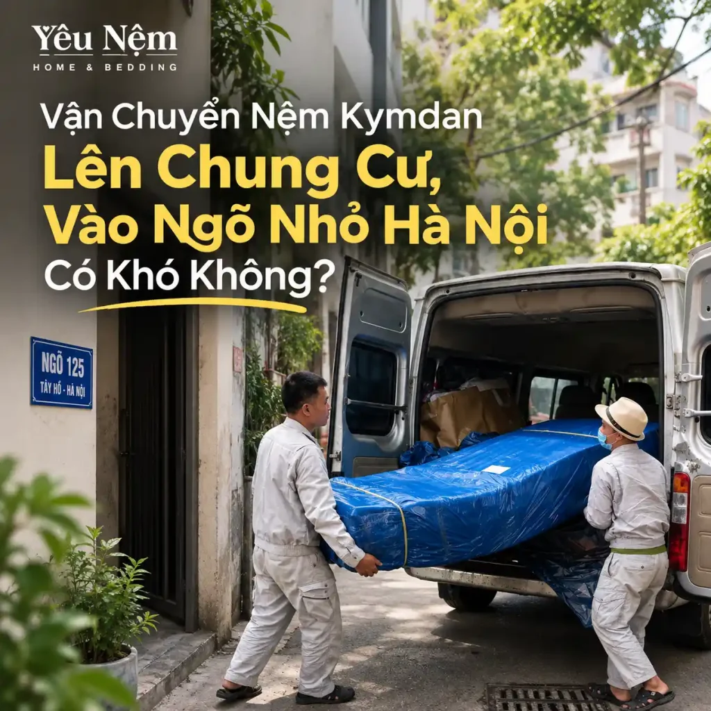 Vận Chuyển Nệm Kymdan Lên Chung Cư, Vào Ngõ Nhỏ Hà Nội Có Khó Không? Giao trong 24h 2 Vận Chuyển Nệm Kymdan Lên Chung Cư, Vào Ngõ Nhỏ Hà Nội Có Khó Không?