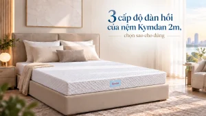 3 cấp độ đàn hồi của nệm kymdan 2m, chọn sao cho đúng