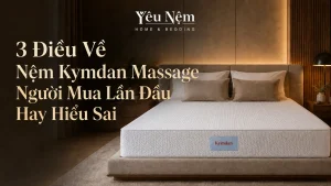 3 Điều Về Nệm Kymdan Massage Người Mua Lần Đầu Hay Hiểu Sai