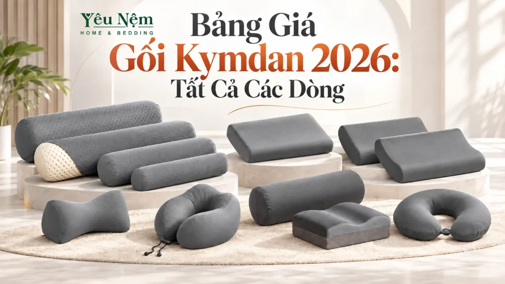 Bảng Giá Gối Kymdan 2026: Tất Cả Các Dòng 1 Bảng Giá Gối Kymdan 2026: Tất Cả Các Dòng