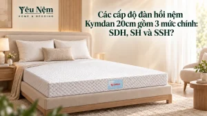Các cấp độ đàn hồi nệm Kymdan 20cm gồm 3 mức chính: SDH, SH và SSH?