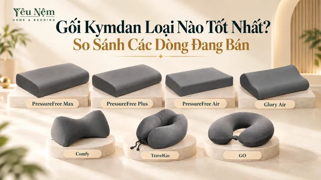 Gối Kymdan Loại Nào Tốt Nhất? So Sánh Các Dòng Đang Bán 1 Gối Kymdan Loại Nào Tốt Nhất? So Sánh Các Dòng Đang Bán