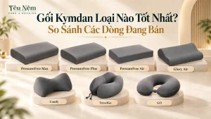 Gối Kymdan Loại Nào Tốt Nhất? So Sánh Các Dòng Đang Bán