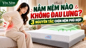 Nằm Nệm Nào Không Đau Lưng? 3 Nguyên Tắc Chọn Nệm Phù Hợp