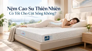 Nệm Cao Su Thiên Nhiên Có Tốt Cho Cột Sống Không?