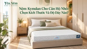 Nệm Kymdan Cho Căn Hộ Nhỏ: Chọn Kích Thước Và Độ Dày Nào?