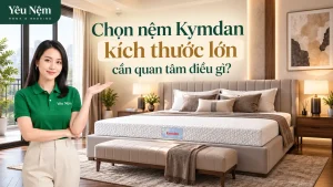 Nệm Kymdan 2m Độ Dày Nào Tốt? So Sánh 10cm, 15cm, 20cm